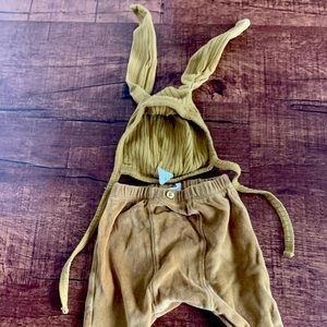 Kate Quinn bunny bundle